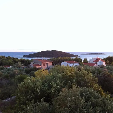 Voga